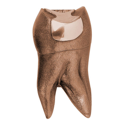 Türgriff Haustürgriff Stoßgriff als Zahn 2559 in massiv Bronze direkt vom Hersteller